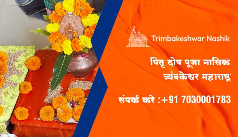 पितृ दोष पूजा नासिक त्र्यंबकेश्वर महाराष्ट्र